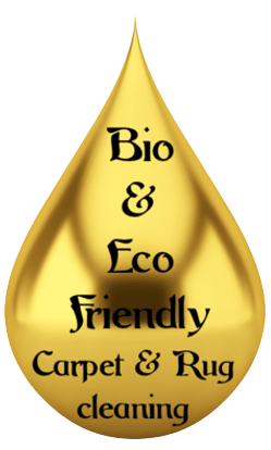 eco friendly cleaning